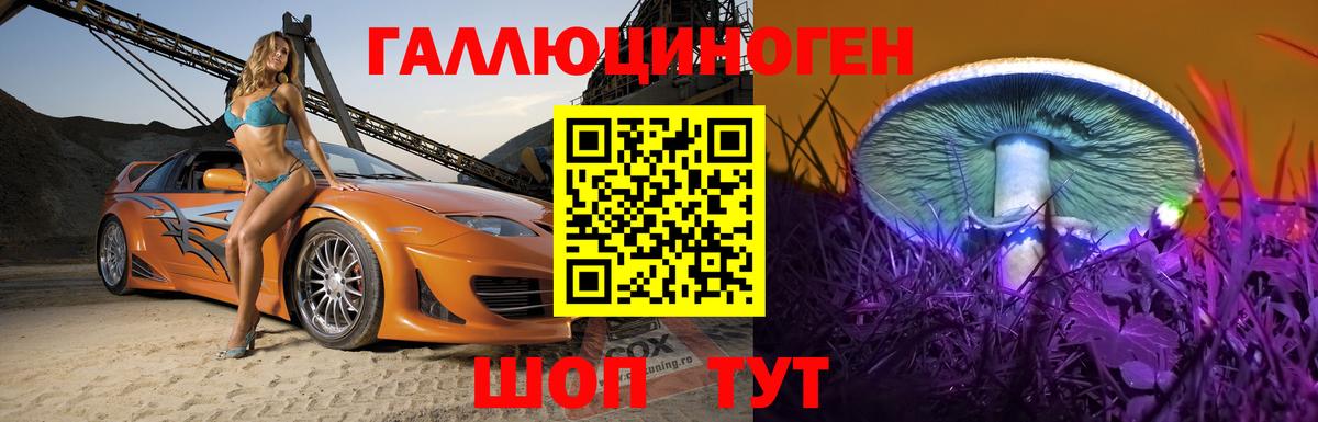 Галлюциногенные грибы Psilocybe Новозыбков